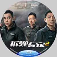 4K电影：拆弹专家2 (豆瓣评分7.8分，刘德华 刘青云 联合主演犯罪动作巨制 ...