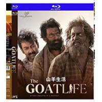 评分：7 山羊生活 The Goat Life  (2024)   （2024年印度上映传记冒险片，印度移民工人纳吉布·穆罕默德（Najeeb Muhammad）前往沙特阿拉伯赚钱的真实事件。然而，命运弄人，他发现自己过着奴隶般的生活，在沙