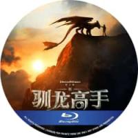 4K电影：新·驯龙高手 又名: 驯龙高手真人版  （2025年美国上映奇幻冒险片...