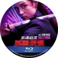 4K电影：疾速追杀：芭蕾杀姬 （2025年美国最新期待动作大片重磅来袭！，该片该...