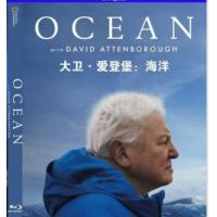 评分：9 大卫·爱登堡：海洋 (2025年英国上映纪录片 爱登堡探索了地球的海底...