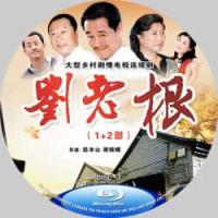 刘老根（1+2+3部）(4碟）赵本山经典电视剧