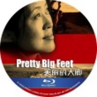 美丽的大脚 （4K修复版（2002年中国上映剧情片，由杨亚洲执导，倪萍、袁泉、许亚军主演。张美丽（倪萍 饰）的丈夫多年前因无知犯法被枪毙了，数年后也失去了孩子。她深知没有文化的后果，于是美丽当上了村里面的老师，教全村的孩子们知识。）