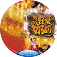 我的野蛮奶奶 B 2005 双碟装 数码全高清修复版  介绍：汪明荃主演香港TVB经典电视连续剧，