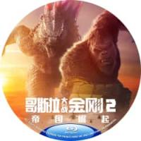 3D版：（50G）哥斯拉大战金刚2：帝国崛起     (2024年美国最新上映全球商业大片来袭..双王合体 硬刚到底 女神：丽贝卡·豪尔  主演 继上一次的怪兽高燃对战之后，金刚和哥斯拉将再度联手对抗一个潜伏在世界中的巨大威胁，并逐步探索这