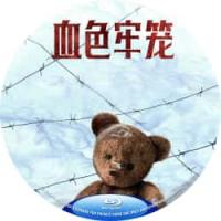 评分：7 血色牢笼  (2025年俄罗斯上映历史战争片，由马克西姆·布里乌斯指导，卡琳娜·安德连科、佩塔尔·泽卡维察、安德烈·鲁迪卡主演。影片故事取材于伟大卫国战争期间的真实历史事件。）