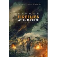 战场上的萤火虫（2025年美国上映历史战争片，由米娜·苏瓦丽主演。 20世纪80年代，萨尔瓦多内战期间的一个反叛组织救出了一名10岁男孩，并在一名美国记者的帮助下，试图恢复和平并结束这场持续的战争。） 
