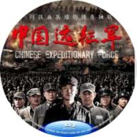 评分：8 中国远征军 4碟 讲述的是1941年12月珍珠港事件后，中、美、英结为第二次世界大战的同盟国。中国远征军上校韩绍功和谢孝彰同赴缅甸作战